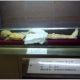 顾从礼